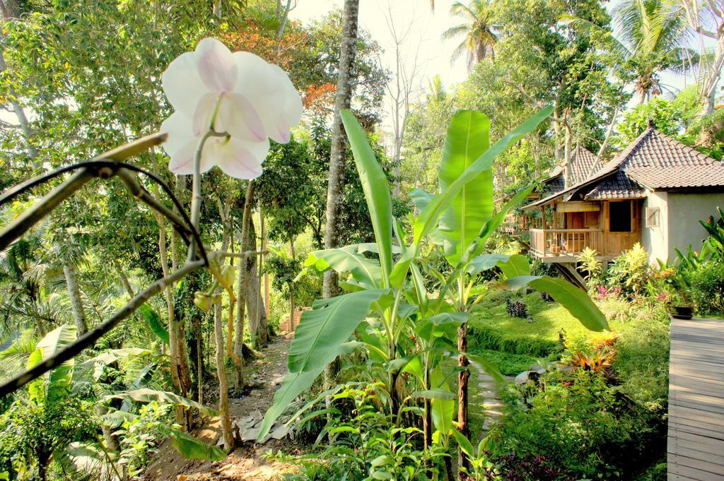 Prashanti Bali Ubud Exteriér fotografie