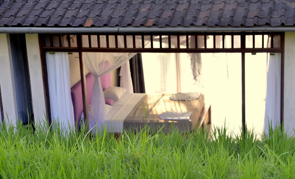 Prashanti Bali Ubud Pokoj fotografie