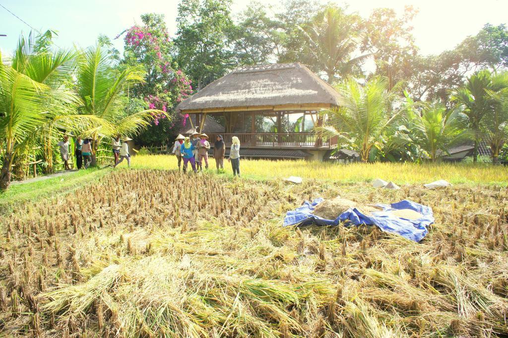 Prashanti Bali Ubud Exteriér fotografie