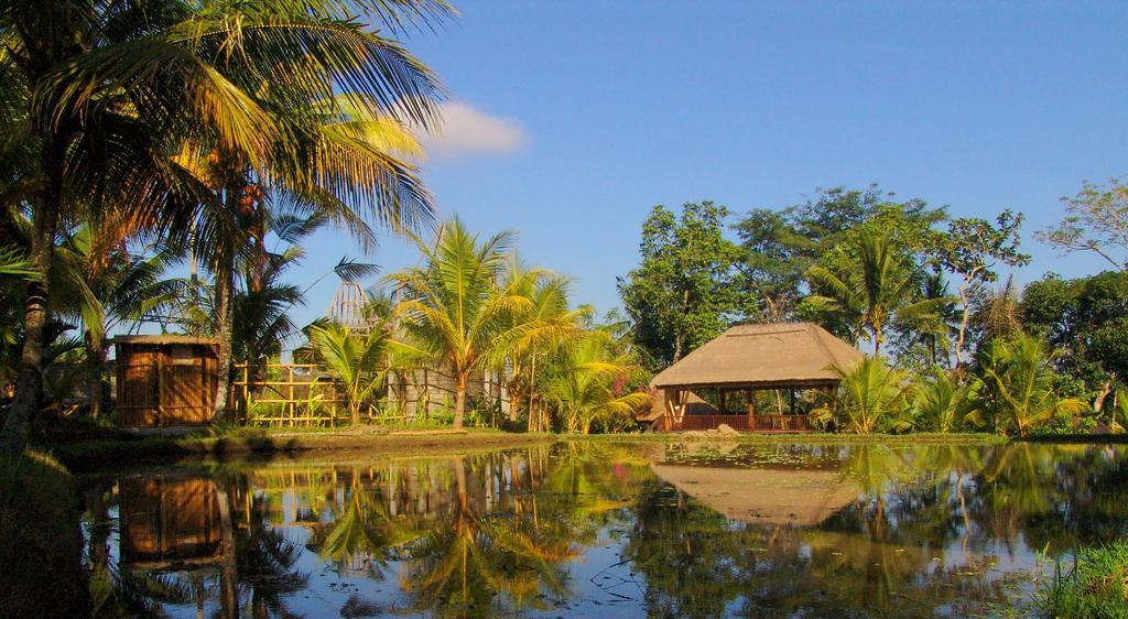 Prashanti Bali Ubud Exteriér fotografie